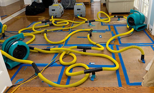 Professional Basement Flood Cleanup technician working in Sparta, TN
